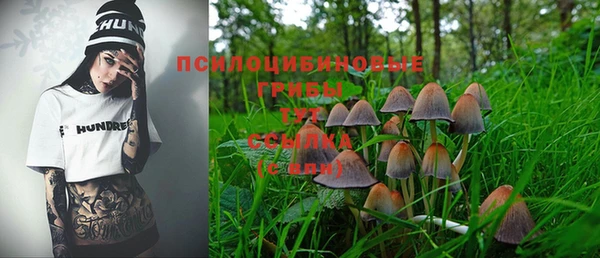 хмурый Алексин