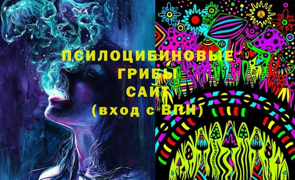 хмурый Алексин