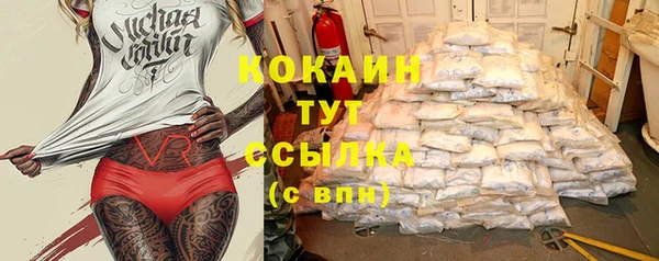 хмурый Алексин