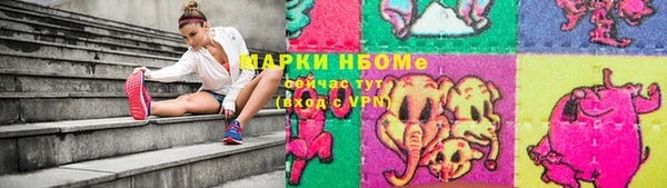хмурый Алексин