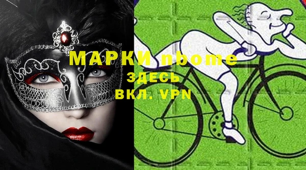 хмурый Алексин