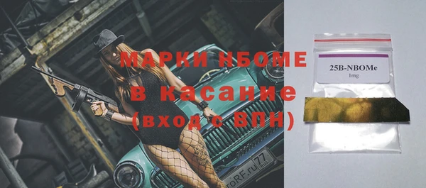 хмурый Алексин
