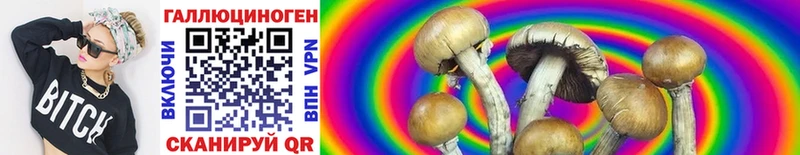 мориарти как зайти  Североуральск  Галлюциногенные грибы Psilocybine cubensis  купить  цена 